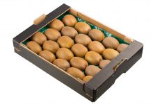 shutterstock_124737256