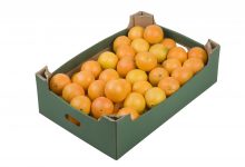 shutterstock_66513127