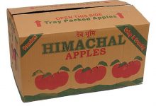 ABOX fruit-corrugated-box-500x500 ABOX fruit-corrugated-box-500x500